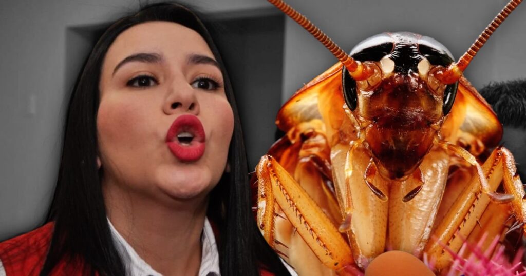 Abdala se manifiesta a favor de… ¡las cucarachas!